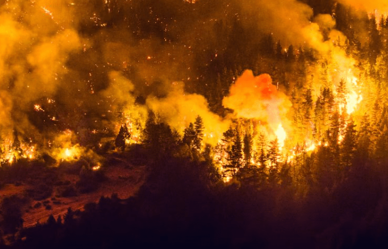 Piden declarar en emergencia la Patagonia por los&nbsp;incendios